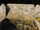 image of grave number 728708